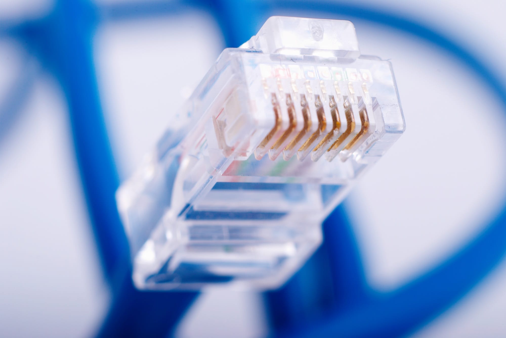 LAN network connection blue cable on white background